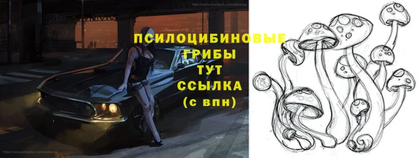 спиды Алексеевка