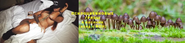 спиды Алексеевка