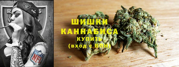 шишки Алзамай